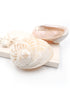 natural cream abalone shell